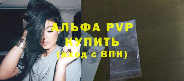 ешки Алексин