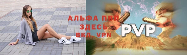 ешки Алексин