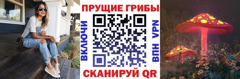 Галлюциногенные грибы Psilocybe  Яхрома 